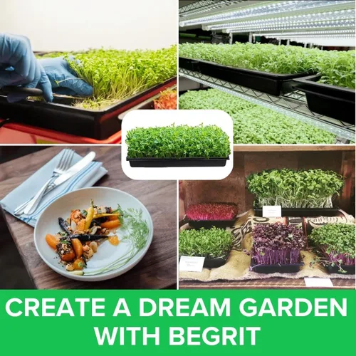 Miniatura 5 de BeGrit Microgreen Seed Starter - Bandejas de cultivo de semillas poco profundas, planos de germinación no estándar, bandeja 1015 sin agujeros