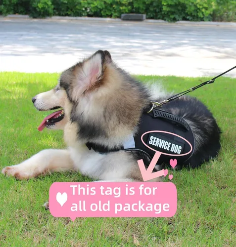 Miniatura 2 de Arnés para perro con asa – Arnés reflectante resistente sin tirones para perros de tamaño mediano, entrenamiento táctico, caminar, arnés de fácil