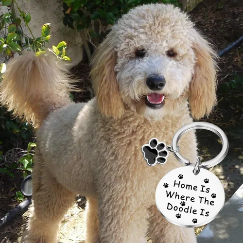 Miniatura 7 de PLITI Golden Caniche Regalos Perro Mamá Regalos Perro Papá Regalos Perro Regalo Perro Amante Regalo Mascota Padres Regalo