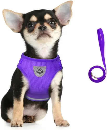 Miniatura 8 de FEimaX Juego de arnés y correa para perro, malla suave ajustable, de fácil control, chaleco ligero para gatos con tiras reflectantes, a prueba