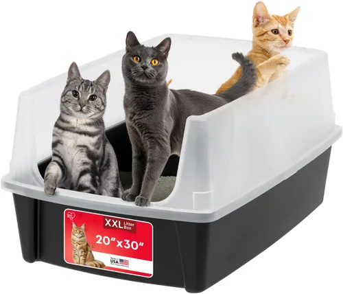 IRIS USA Caja de arena XX-Large para gatos, caja de arena extragrande con parte superior abierta para gatos grandes y hogares con varios gatos,