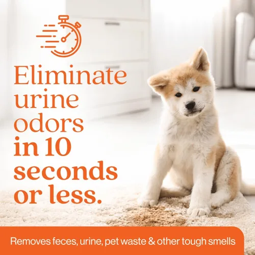 Miniatura 4 de Eliminador de olores de naranja Desodorizante de olores para mascotas para olores fuertes Limpiador de manchas enzimáticas para gatos, perros