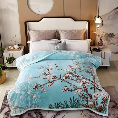 LGYKUMEG Manta de forro polar, coreana de doble capa gruesa, ultra suave, tamaño Queen, 9 libras, 2 capas reversible, felpa suave y sedosa, cálida X
