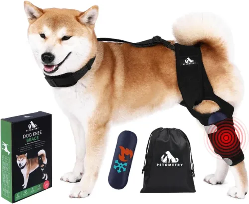 Rodillera universal para perro con paquete de terapia de frío/calor, ajustable, transpirable, collar extra cómodo con soporte estabilizador de