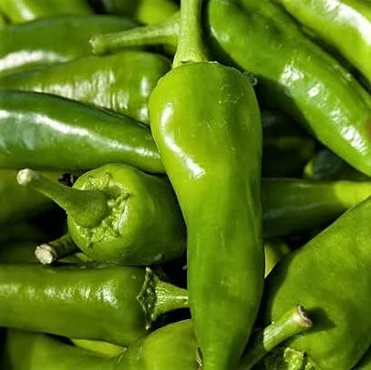 Pimienta, Anaheim, reliquia, 50 semillas, ligeramente picante, genial fresco o seco