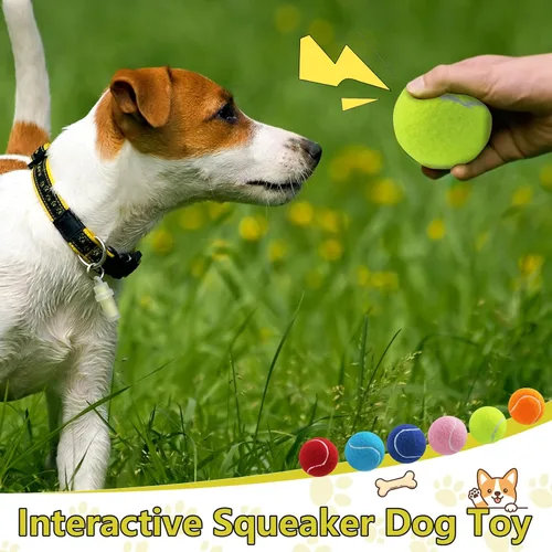 Miniatura 5 de Swingers Pelotas de tenis chirriantes para perro, pelotas de tenis de entrenamiento de 2.5 pulgadas, pelota de ejercicio para mascotas y perros