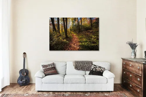 Miniatura 5 de Nature Canvas Wall Art (Ready to Hang) Gallery Wrap of Leaf Covered Trail Leading Into Forest on Autumn Day in Great Smoky Mountains Tennessee