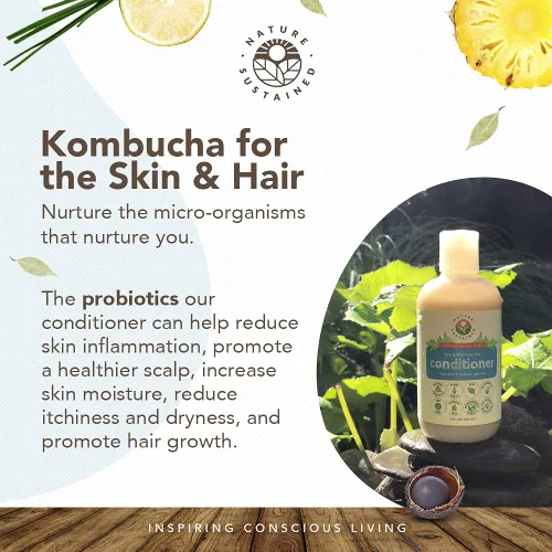 Miniatura 2 de Nature Sustained Acondicionador orgánico – Acondicionador natural hipoalergénico, sin químicos, sin sulfatos para cabello seco o dañado, fórmula