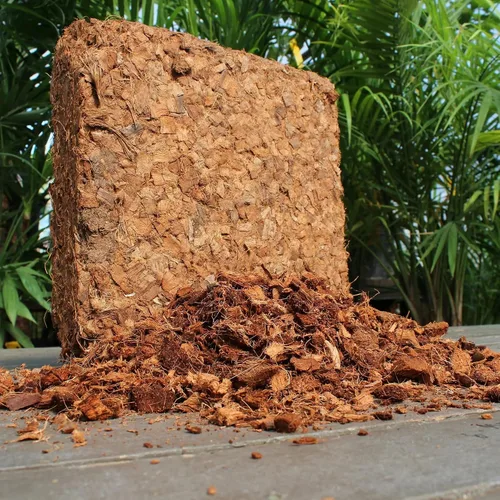 Miniatura 7 de Astillas de coco orgánico para plantas (4.5 kg) - Astillas de fibra de coco - Astillas de cáscara de coco para tierra de macetas, tierra de jardín