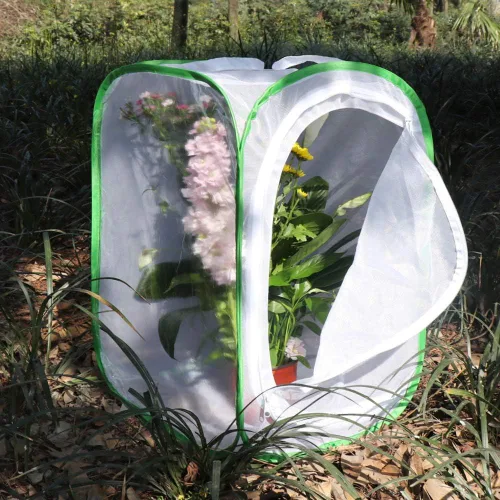Miniatura 4 de RESTCLOUD Jaula de hábitat para insectos y mariposas con protección de cremallera de 24 pulgadas de alto