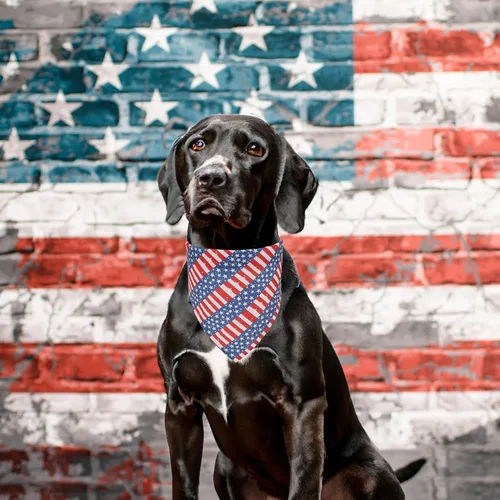 Miniatura 2 de ADOGGYGO Paquete de 4 bandanas para perro con bandera estadounidense, rojo y azul bandera de Estados Unidos, bufanda para mascotas, bandanas