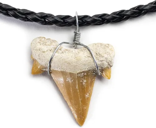 KALIFANO Collar de dientes de tiburón fosilizado, auténtico colgante prehistórico de dientes de tiburón en cordón de cuero trenzado de 18 pulgadas,