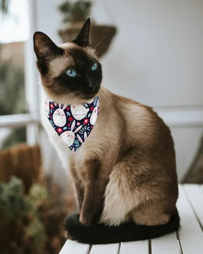 Miniatura 3 de Collares de gato KZHAREEN para Pascua, separables con bandana y campana, collar ajustable para gatito, perrito pequeño, niñas y niños Pascua-2