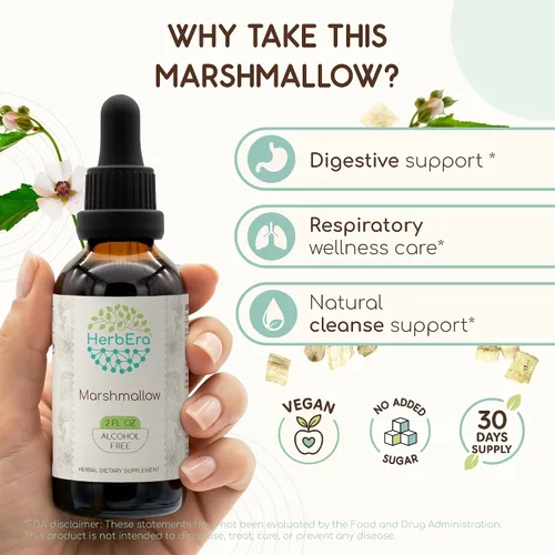 Miniatura 2 de HerbEra Marshmallow B60 - Tintura de extracto de hierbas sin alcohol, gotas líquidas concentradas de malvavisco natural (Althaea Officinalis)