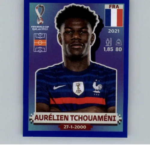 Calcomanías de Panini World Cup Qatar 2022, color azul, #FWC15 Al Bayt Stadium para interiores (2 x 2.5 pulgadas) en crudo (NM o mejor)
