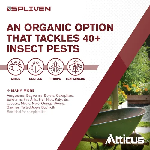 Miniatura 4 de Atticus Spliven Insecticida orgánico (32 onzas) – Concentrado de Spinosad al 0.5% – Insecticida al aire libre para huerto, césped y paisajes