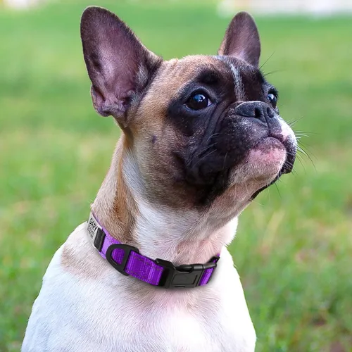 Miniatura 2 de Joytale - Collares de perro personalizados con placa de nombre grabada, collar de nylon personalizado silencioso sin cascabeles con etiqueta