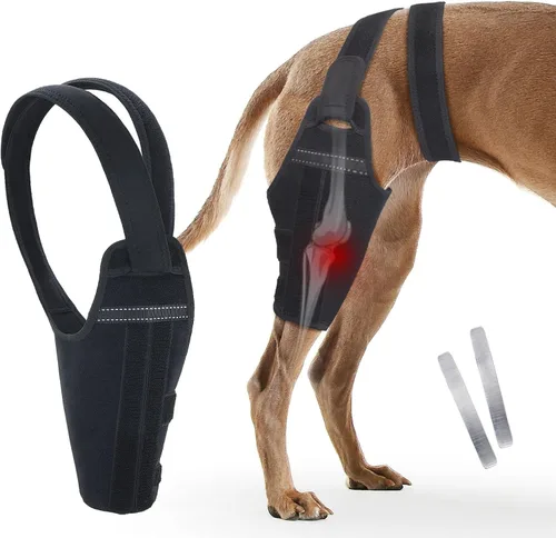 Miniatura 10 de Rodillera para perro para pierna trasera desgarrada del ligamento cruzado anterior – Soporte de pierna de perro para pierna trasera con 2 Pierna