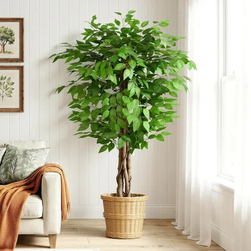 Miniatura 13 de Árboles artificiales de ficus de 3 pies con troncos naturales curvados, árbol exuberante de 36" de altura, árbol falso de ficus realista en verde
