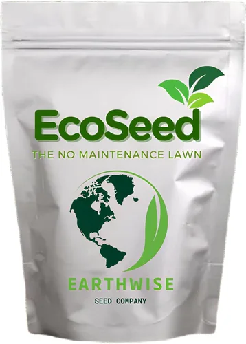 EcoSeed - Hierba para césped, carmesí, 5 libras cubre 1000 pies cuadrados, pleno sol, cultivo de cobertura, uso al aire libre, zonas 6-9 (5 libras)
