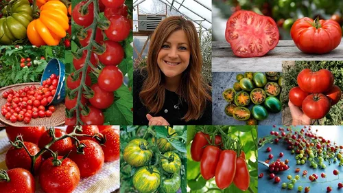 Miniatura 7 de Espoma ¡Tomate concentrado orgánico de 16 onzas! Alimento vegetal - Fertilizante vegetal para todo tipo de tomates y otras verduras. Para jardinería
