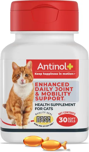 Antinol Plus, Suplemento de movilidad, cadera y articulaciones para gatos, Mejillones de lapa verde y aceite de krill - Suplemento para
