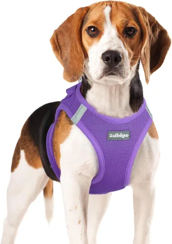 Miniatura 84 de rabbitgoo Arnés para perro pequeño, chaleco de malla suave para cachorros con hebilla de seguridad, arnés reflectante transpirable para mascotas