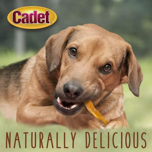 Miniatura 4 de Cadet Golosinas gourmet de batata fritas para perros, golosinas saludables y naturales de entrenamiento para perros pequeños y grandes