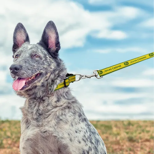 Miniatura 5 de Correa para mascotas JOHN DEERE para perros y gatos, tamaño: pequeña. Una correa para perros con licencia para la construcción, tractores, John