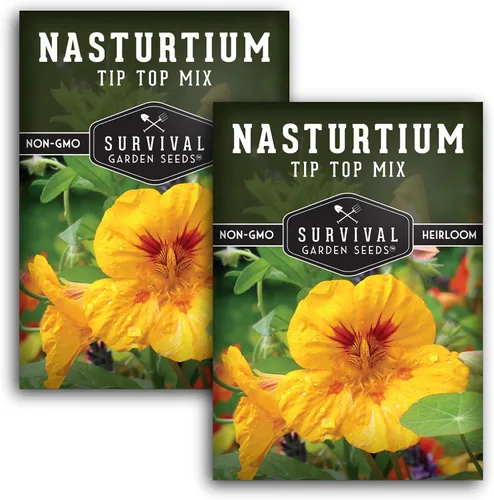Tip Top Mix - Semillas de capuchina para plantar al aire libre, variedad de flores comestibles y plantas complementarias, semillas sin OMG para