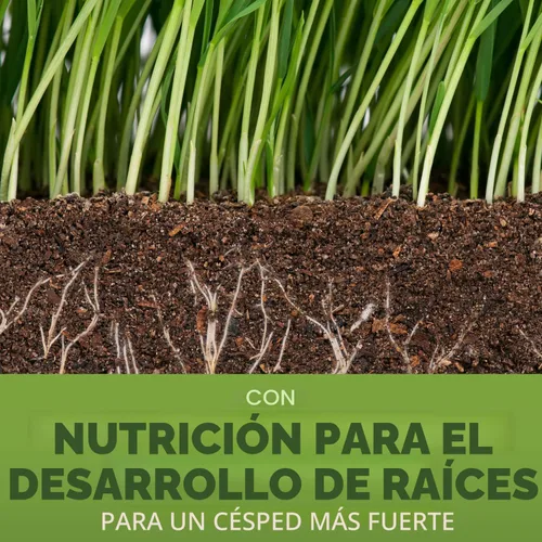 Miniatura 2 de Scotts Turf Builder - Mezcla de festuca alta para semillas de césped, duradera para resistir condiciones duras con nutrición para el desarrollo