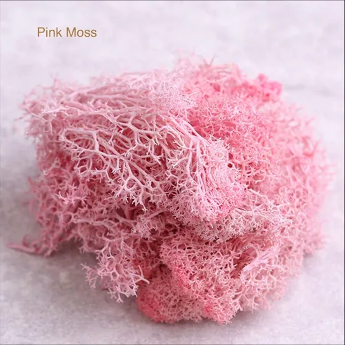 Miniatura 2 de Musgo vivo natural de 9 onzas, musgo falso para plantas en macetas y terrarios, arte y decoración de bodas (verde, morado, rosa)