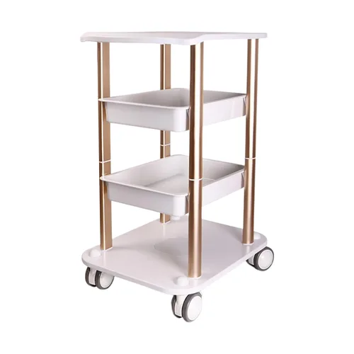 Carrito de salón facial con ruedas, carrito de 4 capas - Carrito rodante, bandeja de carrito de salón de belleza con ruedas plateadas Capacidad