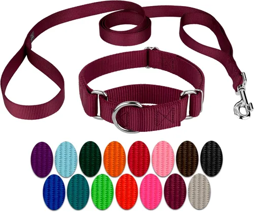 Miniatura 21 de Country Brook Petz - Collar para perro de nailon resistente Martingala azul hielo y correa de doble asa (1 pulgada, grande)