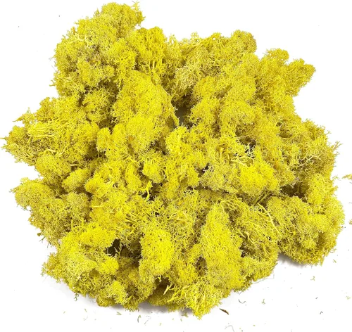 Miniatura 23 de Musgo artificial preservado de musgo para plantas en maceta, musgo verde fresco natural para manualidades, decoración de pared floral, centros