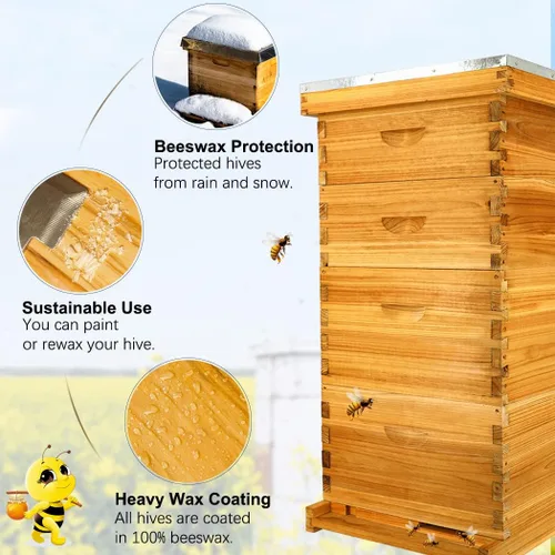 Miniatura 2 de MayBee Colmena Langstroth de 8 marcos sumergida en cera de abejas 100%, kit completo de iniciación de colmenas y suministros de abejas, incluye 2