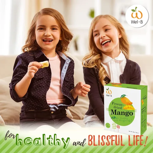 Miniatura 5 de Wel-B Bocadillo de frutas liofilizadas, mango fresco liofilizado a una textura crujiente mientras conserva el sabor natural y la nutrición, grandes