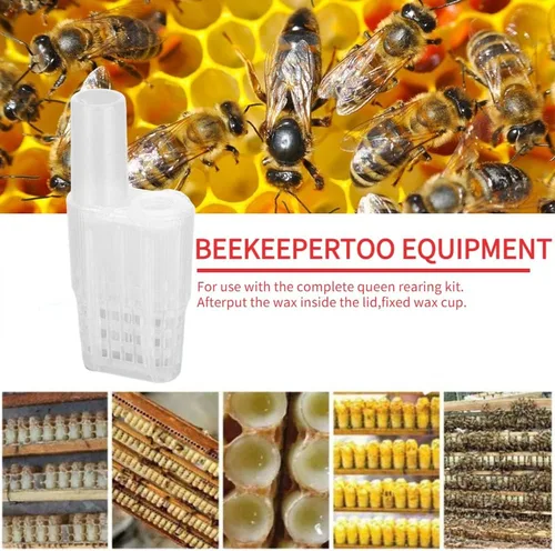 Miniatura 2 de Queen Bee - Taza de cría de abejas, 46 unidades, ligera, práctica, jaula de abeja para apicultura, apicultura, soporte de vasos de celda de reina