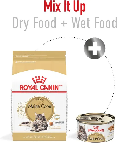 Miniatura 4 de Royal Canin Feline Breed Nutrition Maine Coon Alimento seco para gatos adultos, bolsa de 6 libras