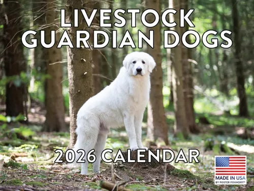 Miniatura 194 de Calendario de pared mensual 2025 Great Dane de 12 meses, fabricado en Estados Unidos