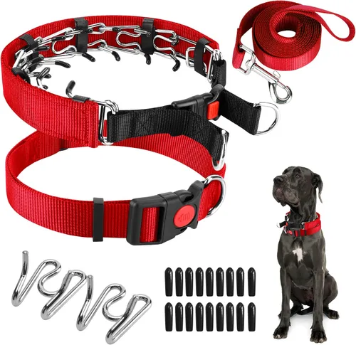 Miniatura 10 de Collar de entrenamiento de puntas con puntas cómodas y hebilla de cierre rápido – Collar de pellizco para perro con cubierta de nailon