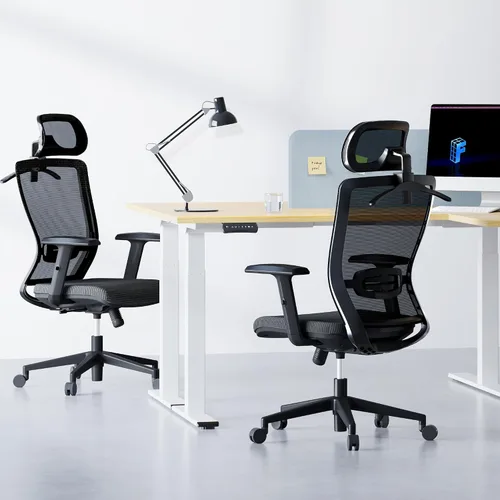 Miniatura 2 de FLEXISPOT Silla de oficina ergonómica, sillas de escritorio de oficina en casa con soporte lumbar ajustable, reposabrazos, bloqueo de inclinación