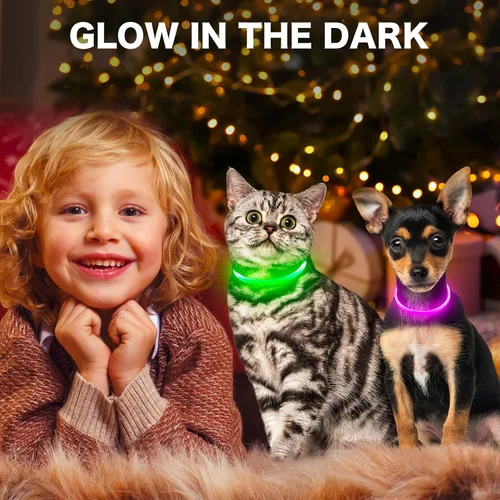 Miniatura 6 de BSEEN Collar LED para Perro - Collar LED para Perro Recargable Resistente al Agua - Collar LED para Mascotas de TPU Cortável para Perros Pequeños