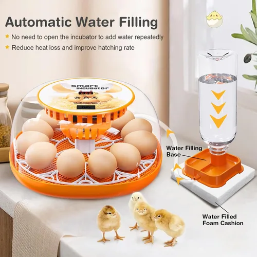 Miniatura 4 de Incubadora de 12 huevos con giro automático de huevos y control de temperatura, adición automática de agua, vela LED de huevos, incubadoras