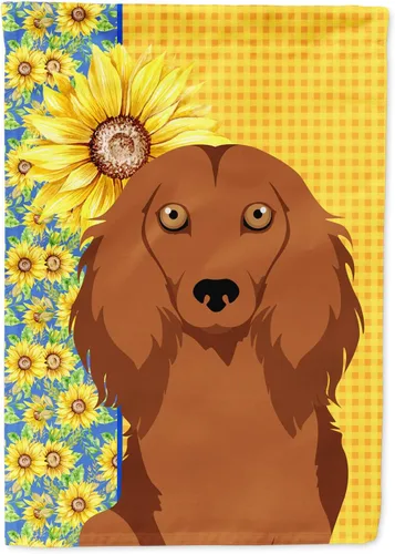 Miniatura 232 de Caroline's Treasures WDK5331CHF - Bandera de verano con diseño de girasoles rojos y blancos, manga grande, para porche, para colgar en la pared