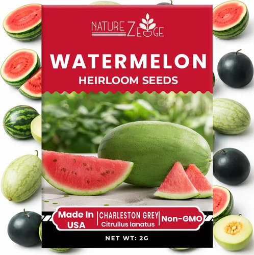 Miniatura 3 de Semillas de frutas, semillas de sandía, semillas de melón, semillas de frutas para plantar, semillas de sandía dulce para plantar, semillas de melón