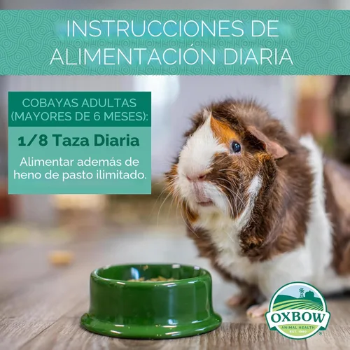 Miniatura 4 de Oxbow Essentials Alimento para Conejillo de Indias, Conejillo de Indias Adulto, Hecho con Heno Timothy de Oxbow, Pellets de Comida para Mascotas