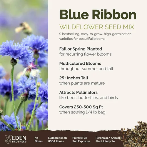 Miniatura 2 de Eden Brothers Blue Ribbon Flower - Semillas mixtas para plantar, 1/4 libra, más de 120,000 semillas con campanilla azul, aciano azul, achicoria
