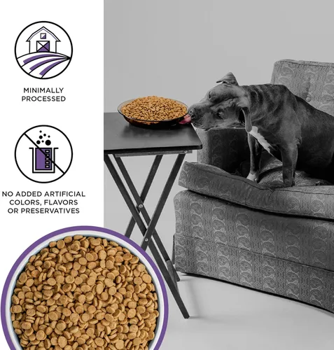 Miniatura 3 de BIXBI Liberty - Alimento seco para perros sin granos, receta de cordero, 11 libras, carne fresca, sin harina de carne, sin rellenos para una fácil