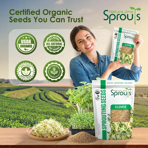 Miniatura 7 de Nature Jims Sprouts Semillas de trébol – Semillas germinantes orgánicas sin OMG para semillas frescas y ricas en nutrientes, llenas de vitaminas